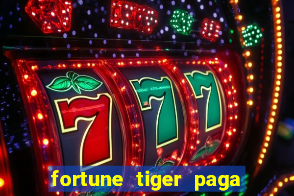 fortune tiger paga de madrugada